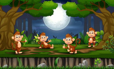 Obraz na płótnie Canvas Night scene with many monkey in the forest