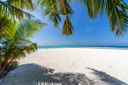 The beautifull beach of Dhangethi, maldives. Known for Diving, day tour for resort and this beautifull beaches and the swing in the water