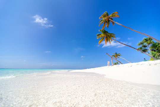 The beautifull beach of Dhangethi, maldives. Known for Diving, day tour for resort and this beautifull beaches and the swing in the water