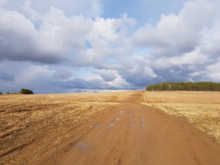 Fototapeta na wymiar Dirt spring road in the field