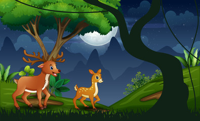 Naklejka premium Night forest with mother deer and her cub