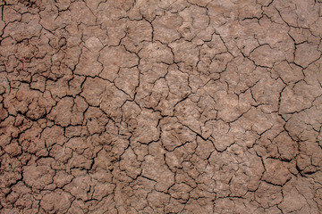 Dry and cracked mud in Bisti Badlands, De-Na-Zin Wilderness, New Mexico