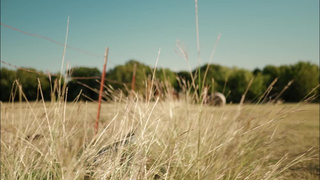 Grassy field with hay in the background next to barbed wire fence shot in 6k