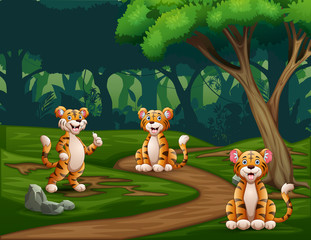 Cartoon three tigers enjoying at forest
