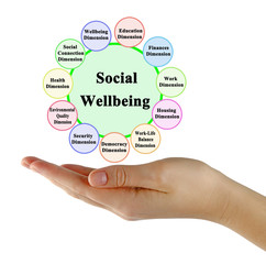 Eleven Components of Social Wellbeing