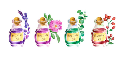 Bottle of lavender, rose, eucalyptus, rose hip essential oil and branches and flowers. Hand painted watercolor illustration for your design, isolated object on white background.