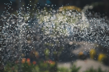 Water sprinkler in my garden this afternoon. Giving a dream like vision trough the water drops