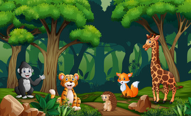 Scene with many animals in the forest