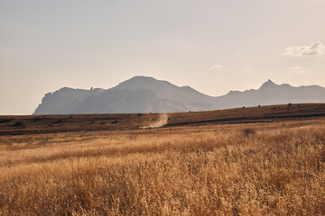 Fototapeta na wymiar Golden field against the background of mountains