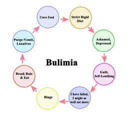 Cycle which leads to Bulimia - obrazy, fototapety, plakaty