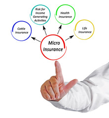 Four Applications for Micro Insurance .
