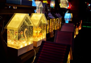 beautiful girl and housde model