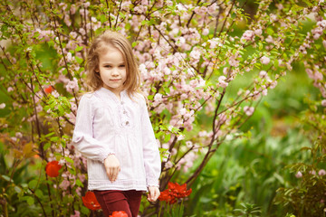 little girl in garden with almond bush and tulips