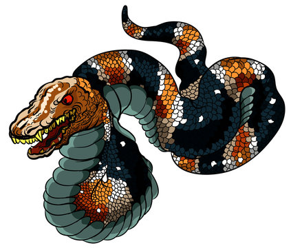traditional Japanese snake tattoo design.boa snake full color and handdrawn style.Cobra tattoo
