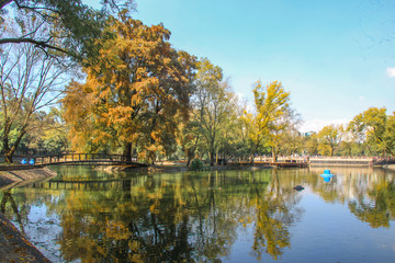 Fototapeta premium autumn landscape with lake