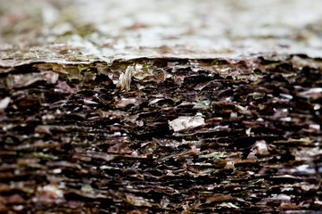 Nori seaweed dried in flat sheets. For making sushi, rolls and other dishes. Background for asian food.
