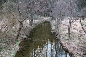 pure water stream in forest