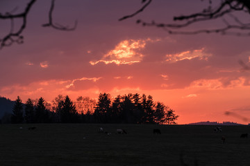 colorful sunset in a countryside landscape