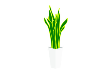 観葉植物サンセベリアのイラスト