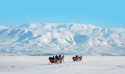 Horses pulling sleigh in winter - Cildir Lake, Kars