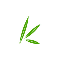 Obraz premium letter k green leaf motion simple geometric symbol logo vector