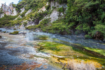 Hot springs at Waimangu geothermal park in New Zealand.