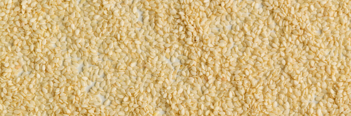 Close up view of dry sesame seeds on white background. Natural oil-rich food