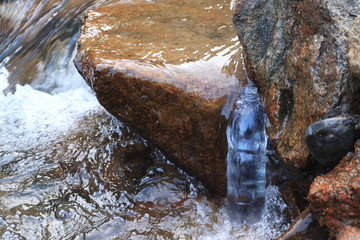 Picture of a plastic bottle.