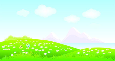 Obraz na płótnie Canvas Landscape with grass, daisies, butterflies. Vector illustration.