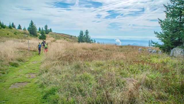 Competitive runners with trekking sticks in professional clothing run through grassy mountain landscape. Panning shot.