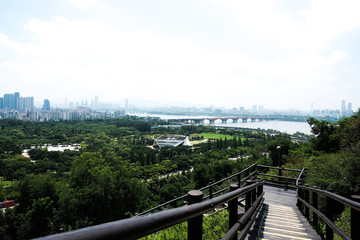 A view of Seoul from the top of the some mountain in South Korea.