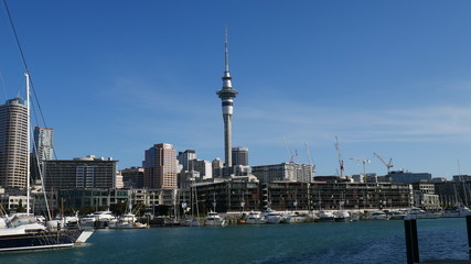 Naklejka premium Auckland 
