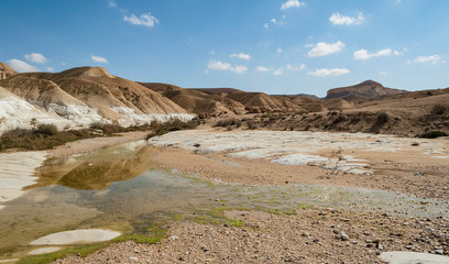 a seasonal pool in the akev stream bed in the zin valley in israel showing green pond scum and...