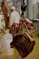 Abattoir indépendant pour coopérative agricole