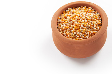 corn seeds in the plate