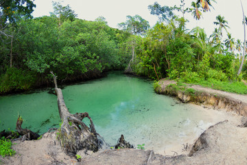 Playa de Rincon - Dominikana