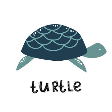 cute turtle, sea ocean, cartoon lettering vector illustration