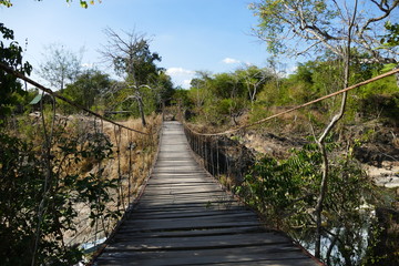 Fototapeta na wymiar wooden bridge over the river inside a jungle in asia, look like an adventurous place 