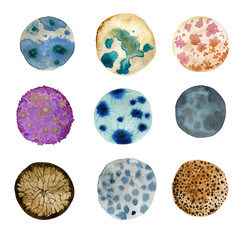 watercolor circles with bacteria, mold, and fungi