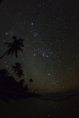 Nocne niebo w egzotycznej scenerii Dominikany - obrazy, fototapety, plakaty