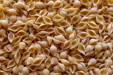 Dried Italian pasta, Conchiglie pasta closeup