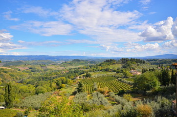 Fototapeta na wymiar Rural landscape of Tuscany Italy