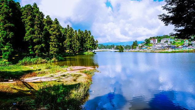 Reflection of White Cloud and green trees on the lake