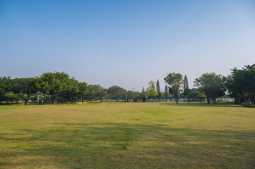 The open grassland landscape of the park