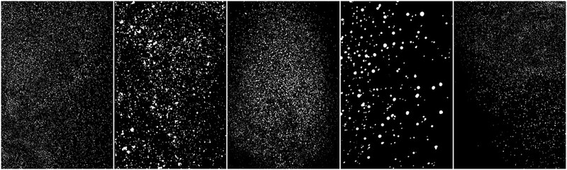 Set of distressed white grainy texture. Dust overlay textured. Grain noise particles. Snow effects pack. Rusted black background. Vector illustration, EPS 10.   