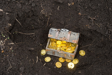 地中の宝箱と金貨