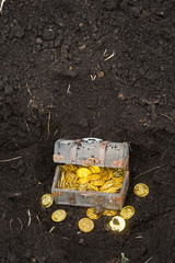 地中の宝箱と金貨