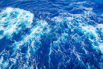 ハワイ クルージング 海面