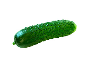 Isolated fresh green cucumber. Vegetable. vegan food. One whole cucumber isolated on white background