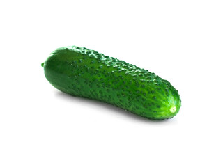Isolated fresh green cucumber. Vegetable. vegan food. One whole cucumber isolated on white background